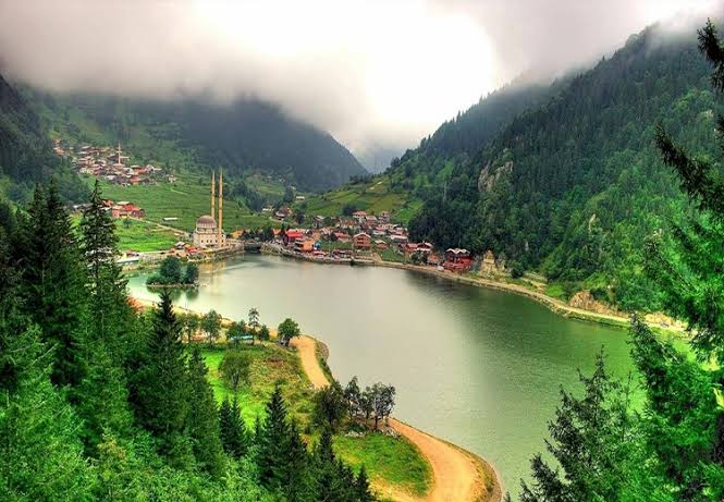 تور باتومی 8 روز 16 مرداد